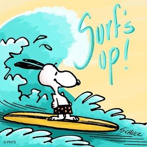 Meet your Posher, Norma